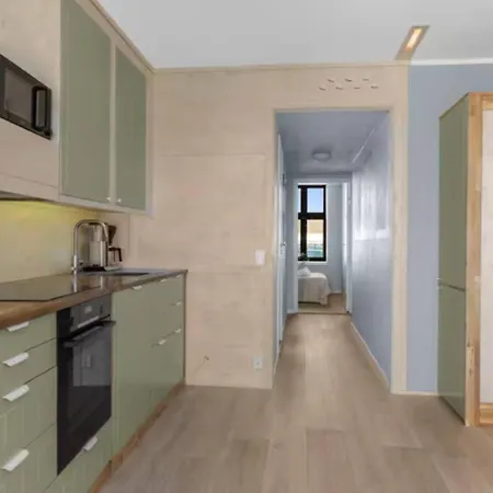 Flat W/ Balcony & Free Parking 奥斯陆